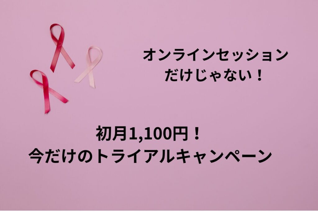 トライアルキャンペーン内容